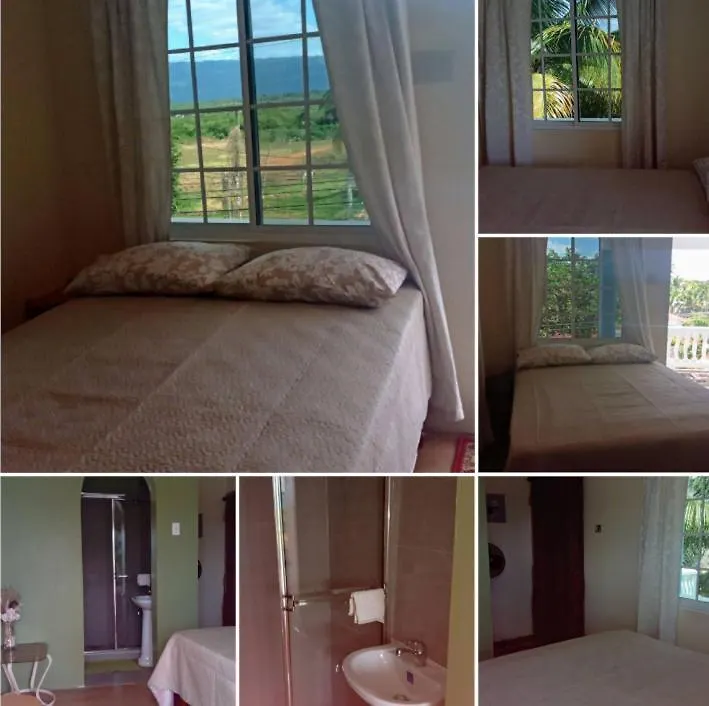 Pet-Friendly 1Br With Stunning Views contacts